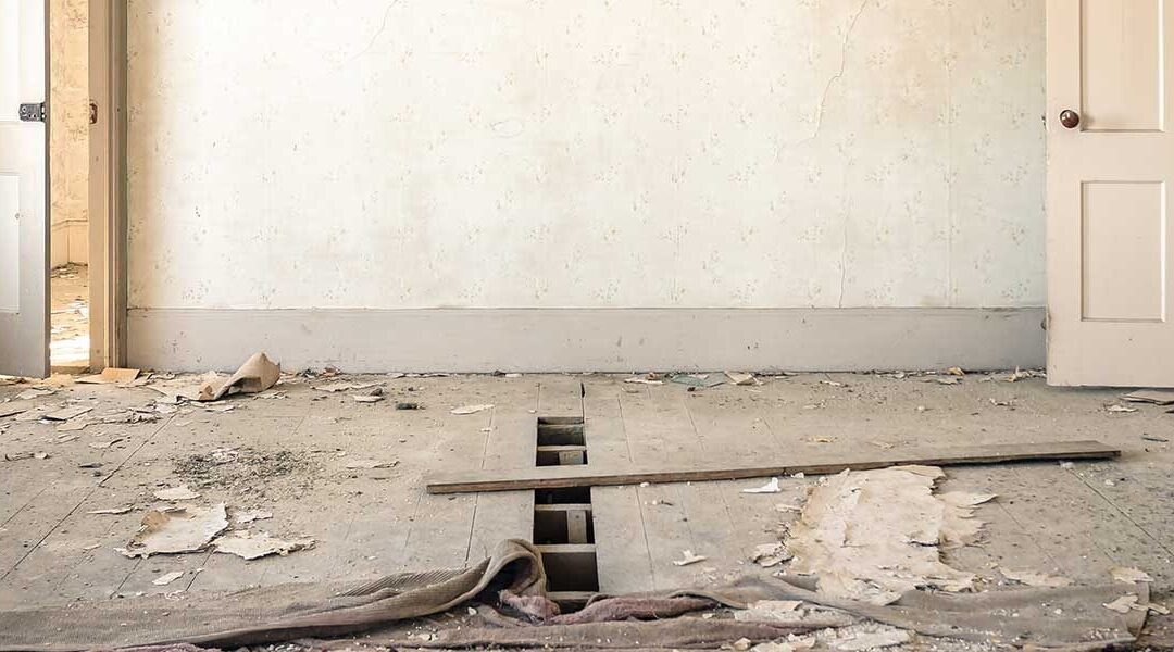 The Level 3 Building Survey: What’s Included